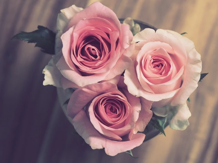 a vase filled with pink roses on top of a wooden table, a picture, by Karl Buesgen, pexels, romanticism, retro effect, large rose flower head, looking cute, middle close up shot
