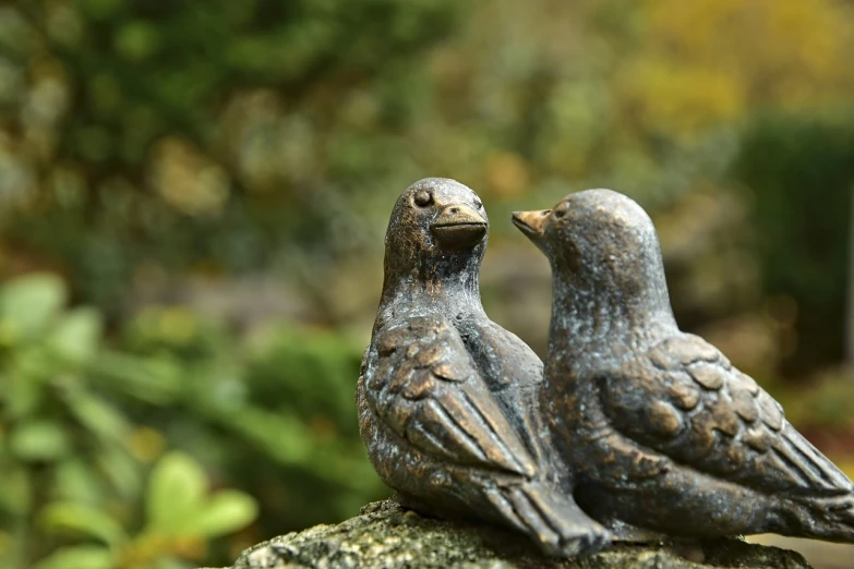 a couple of birds sitting on top of a rock, a bronze sculpture, pixabay, folk art, ultra shallow depth of field, highly detailed product photo, sitting in the garden, high detail product photo