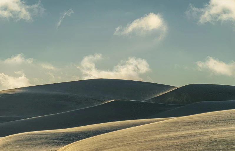 a lone horse standing in the middle of a field, a matte painting, by Matthias Weischer, unsplash contest winner, walking over sand dunes, distant clouds, sinuous, white sand