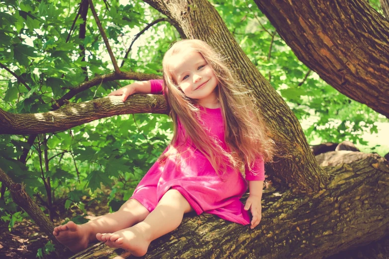 a little girl sitting on top of a tree branch, a picture, pexels, beautiful pink little girl, in the wood, 1 4 9 3, about 3 5 years old