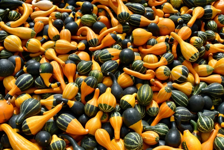 a pile of squash and gourds sitting on top of each other, a photo, folk art, las vegas, orange and black, 8k)), keys