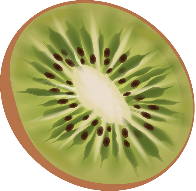 a kiwi cut in half on a white background, an illustration of, by Kinichiro Ishikawa, hurufiyya, made in paint tool sai2, [ overhead view ]!!, top half of body, soft green natural light