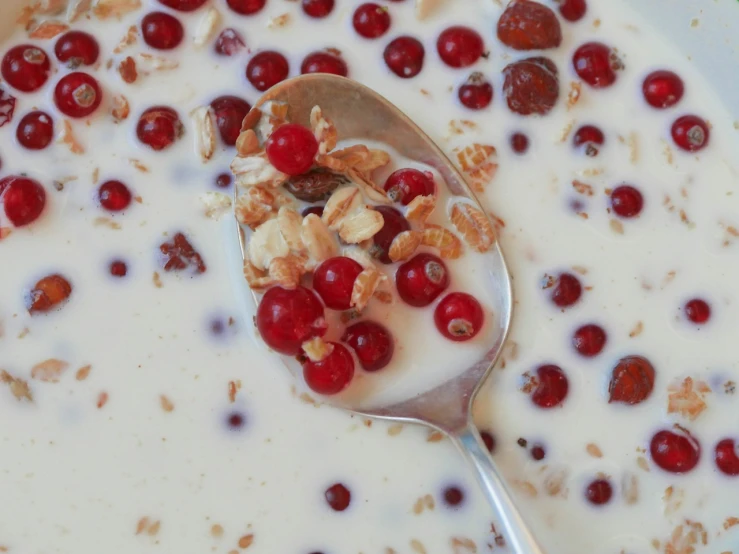 a spoon full of yogurt topped with cranberries, by Juan Giménez, hurufiyya, cereal, sun coast, caparisons, silk