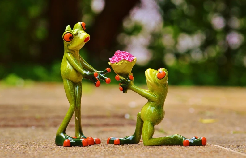 a figurine of a frog giving a flower to another frog, a picture, pexels, visual art, man proposing his girlfriend, 🎀 🗡 🍓 🧚, ceremony, saying