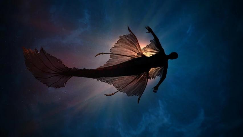 a silhouette of a person flying through the air, concept art, by Robert Jacobsen, conceptual art, beautiful mermaid, photo taken of an epic intricate, koi fish floating in space, man with the soul of a dragon