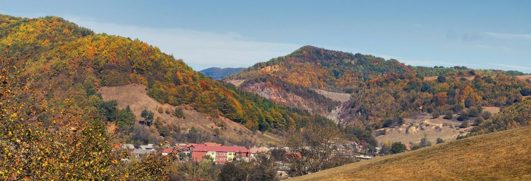 a herd of cattle grazing on top of a lush green hillside, a photo, by Aleksander Gierymski, shutterstock, colorful autumn trees, in the foreground a small town, mines, located in hajibektash complex