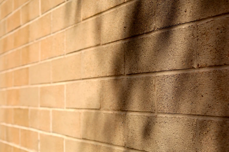 a fire hydrant sitting next to a brick wall, by Andrew Domachowski, symbolism, soft shadow, closeup photo, large tree casting shadow, light - brown wall