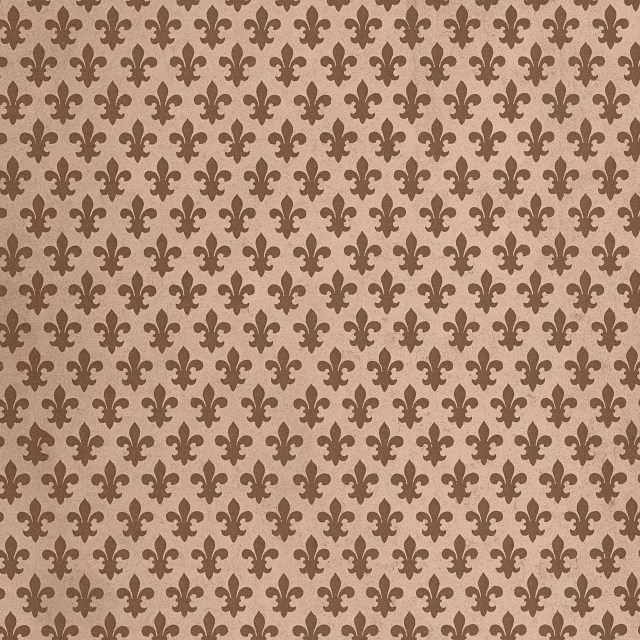 a pattern of fleur de lis on a brown background, a digital rendering, inspired by Francis Focer Brown, trending on pixabay, stippled walls, wes anderson background, brown clothes, background image