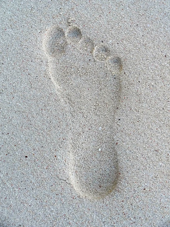 a close up of a person's foot in the sand, a stipple, inspired by Victorine Foot, standing on a beach in boracay, pregnancy, my true identity, abel tasman