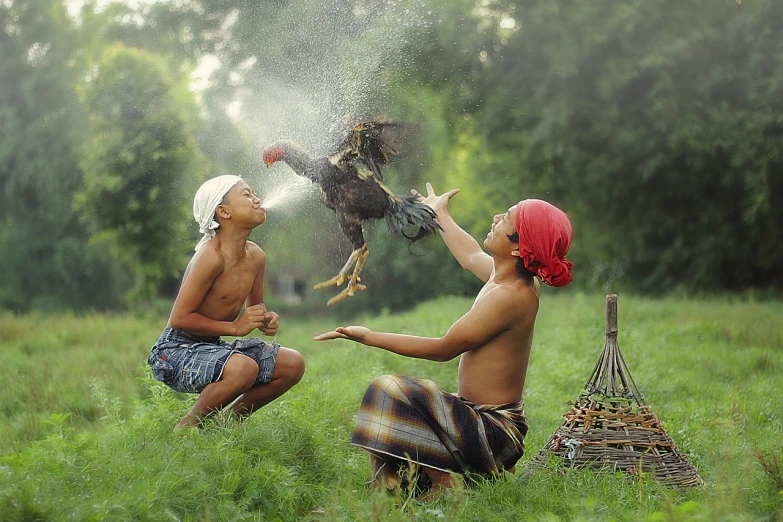 two men are playing with a bird in a field, a picture, pixabay contest winner, sumatraism, cute boys, rooster!!!!, casting a magic spell, an indonesian family portrait