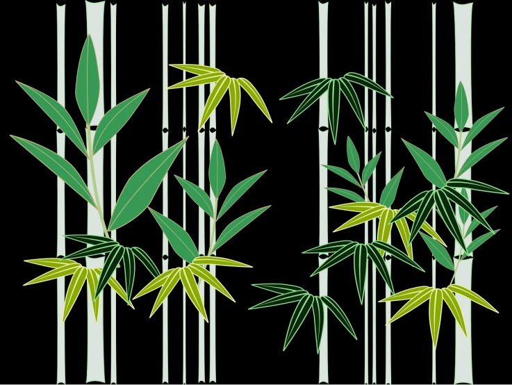 a group of bamboo trees on a black background, a digital rendering, inspired by Kanō Masanobu, patterned background, green lines, beginner, cut