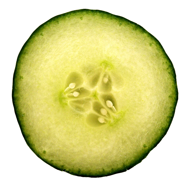 a close up of a sliced cucumber on a black background, a macro photograph, high detail product photo, cellshaded, circle, very accurate photo