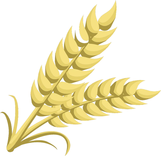 a stalk of wheat on a black background, a digital rendering, by David Garner, pixabay, hurufiyya, simple cartoon style, no gradients, a pair of ribbed, tastes