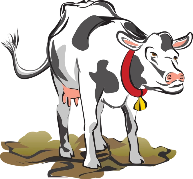 a black and white cow with a red collar, an illustration of, pixabay, lumpy skin, ground level, flowing milk, full - color