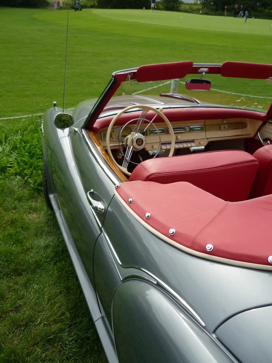 a car sitting on top of a lush green field, by David Simpson, tumblr, retrofuturism, red leather interior, wooden trim, featuring rhodium wires, mercedes