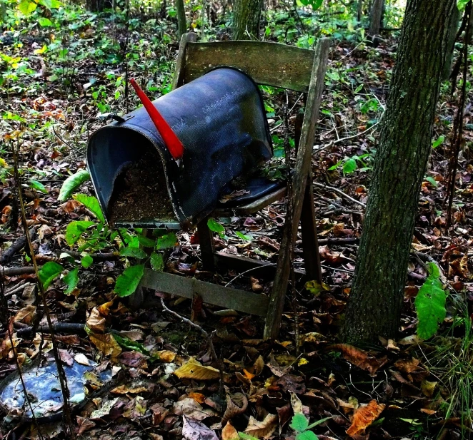 a black mailbox sitting on top of a wooden chair in the woods, flickr, environmental art, land mines, mid fall, abandoned scuba visor, watering can