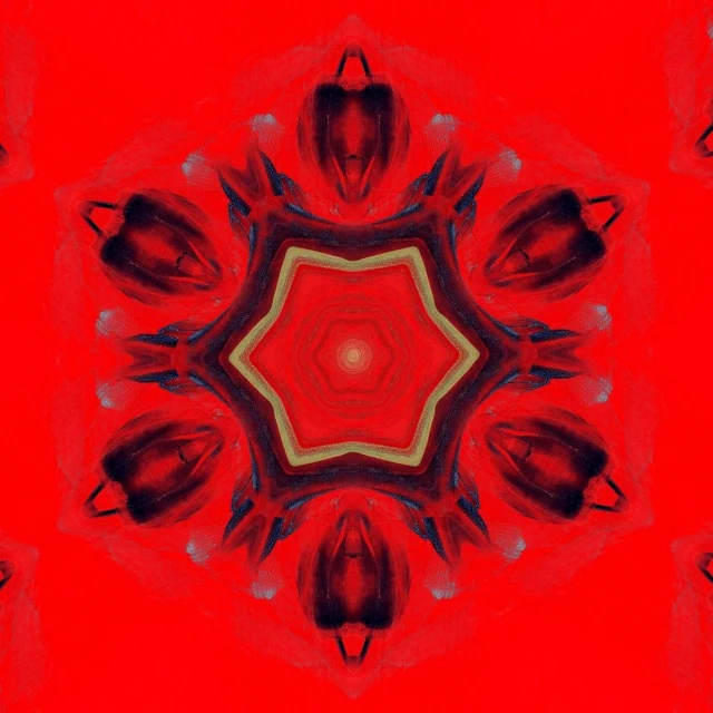 a pattern of red tulips on a red background, digital art, inspired by Hans Memling, flickr, abstract illusionism, seen through a kaleidoscope, near the beach, it has a red and black paint, pentagram