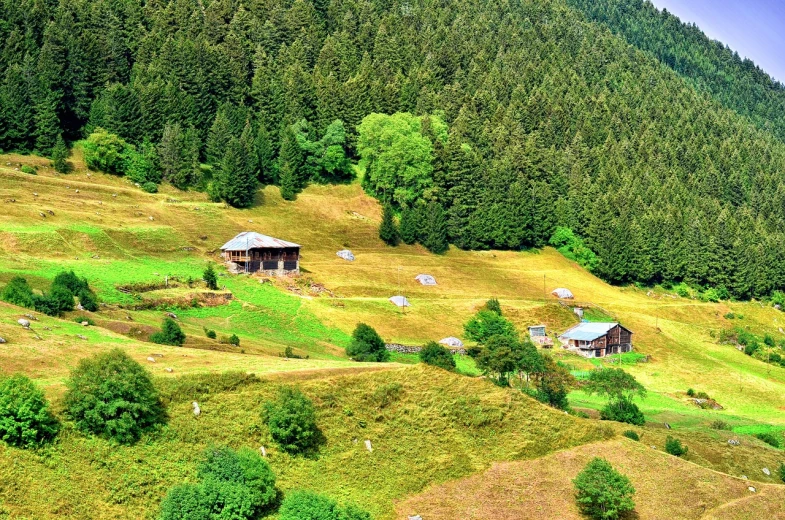 a small house sitting on top of a lush green hillside, by Muggur, flickr, huts, fir forest, idyllic and fruitful land, france