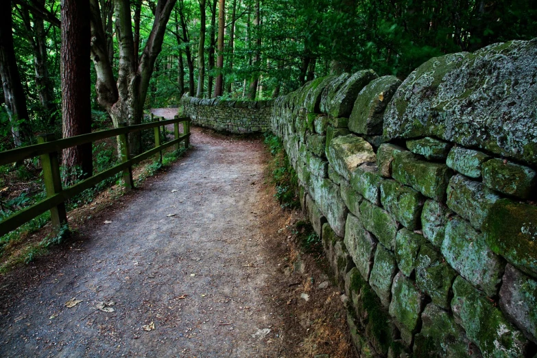 a stone wall along a path in the woods, inspired by Patrick Nasmyth, pexels, renaissance, yorkshire, july 2 0 1 1, walkway, tourism