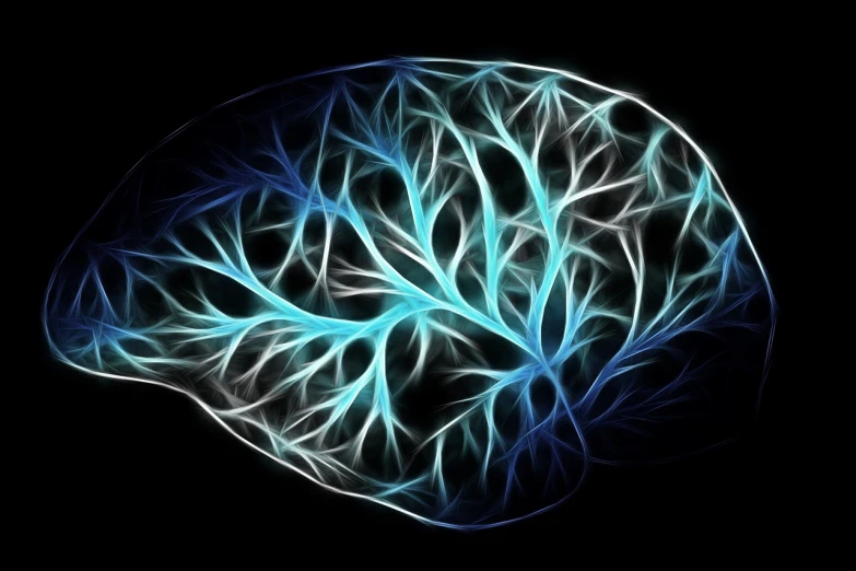 a computer generated image of a brain, by Eugeniusz Zak, trending on pixabay, luminous veins, dominant wihte and blue colours, simple tree fractal, glowing lines