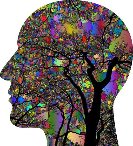 a tree in the shape of a human head, digital art, inspired by Milton Glaser, pixabay, psychedelic art, maxim verehin stained glass, silhouette of a man, academicism, colorful detailed projections