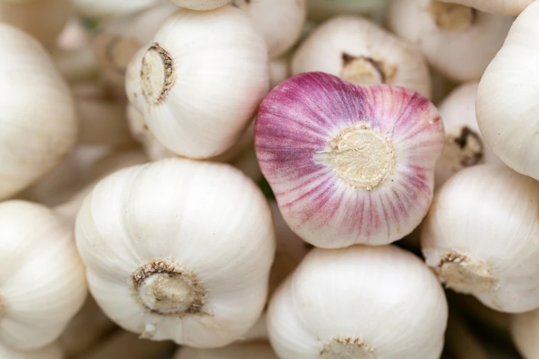 a close up of a bunch of garlic, a portrait, shutterstock, hurufiyya, 1 6 x 1 6, crisp colors, silver, round-cropped