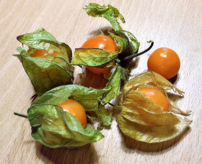 a bunch of fruit sitting on top of a wooden table, a macro photograph, by Karl Völker, reddit, chinese lanterns, nothofagus, forest gump tomato body, yellowed with age