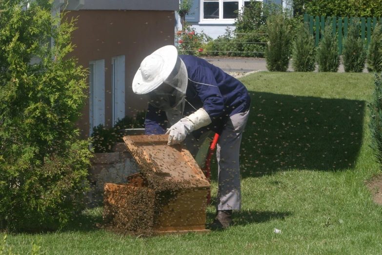a man that is standing in the grass with a beehive, a photo, preparing to fight, fine workmanship, 2 0 1 0 photo