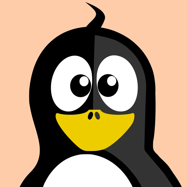 a black and white penguin with a yellow beak, vector art, stuckism, in front of an orange background, cartoon face, linux mint, closeup of an adorable