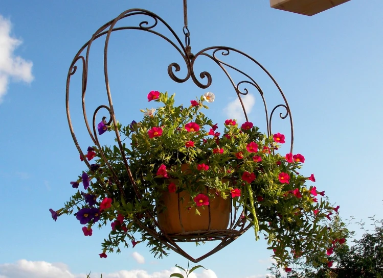 a hanging planter filled with lots of flowers, art nouveau, magic heart, made of wrought iron, blue sky, monika