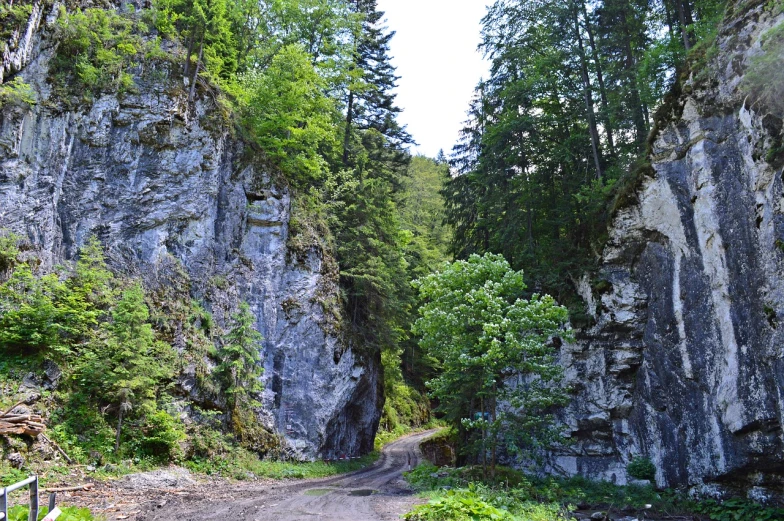 a dirt road in the middle of a forest, naturalism, inside a gorge, slovakia, rock walls, may)
