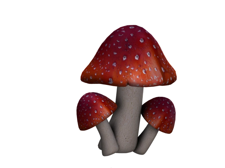 a close up of a mushroom on a black background, a raytraced image, photorealism, red realistic 3 d render, amanita myscaria, realistic rendering for stool, highly detailed product photo