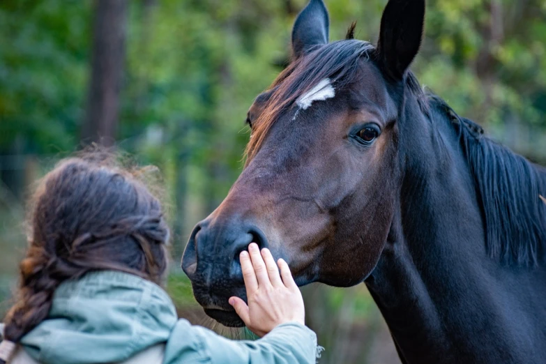 a close up of a person petting a horse, a stock photo, by Jan Rustem, shutterstock, hand over mouth, lush surroundings, ebony, talking