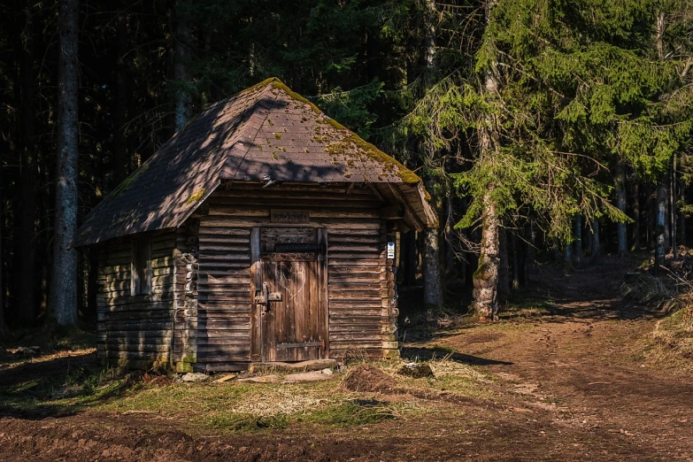 a small cabin sitting in the middle of a forest, a photo, by Jacob Kainen, shutterstock, old building, 2 4 mm iso 8 0 0, posing!!, carpathian mountains