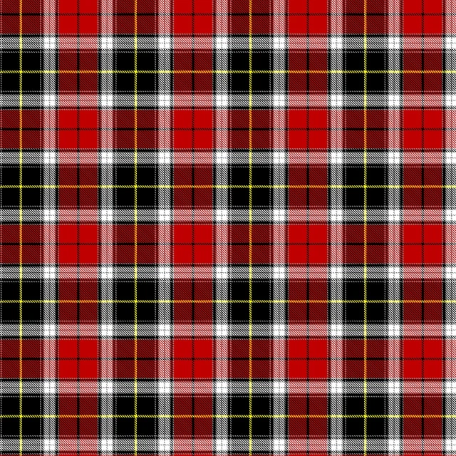 a red and black plaid fabric, inspired by Cornelia MacIntyre Foley, trending on pixabay, fine art, black and yellow and red scheme, scott adams, celtic, black red white clothes