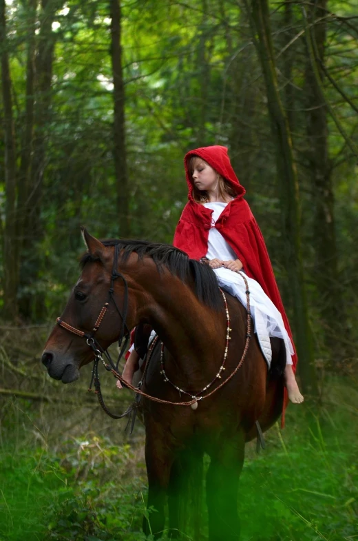a little girl riding on the back of a brown horse, renaissance, red hood cosplay, photograph credit: ap, istockphoto, in the wood