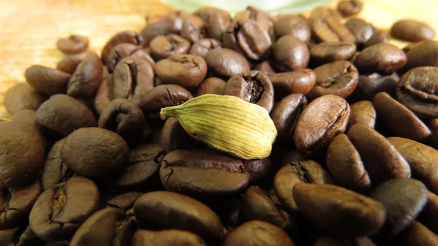 a close up of a pile of coffee beans, by Yasushi Sugiyama, reddit, hurufiyya, loputyn and matcha, chewing tobacco, light bown iris, with a figure in the background