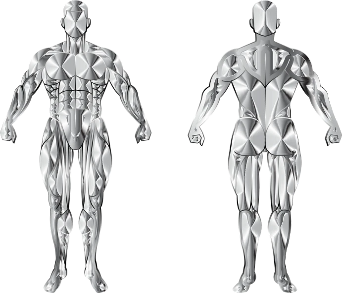 a couple of men standing next to each other, a digital rendering, by Julian Allen, zbrush central, muscle striation visible, made out of shiny white metal, detailed vector, views front side and rear