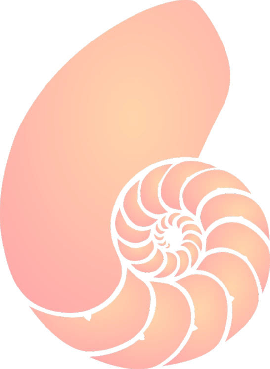 a nautish shell on a black background, a screenshot, art nouveau, pink body, oversized_hindquarters, svg, kidney