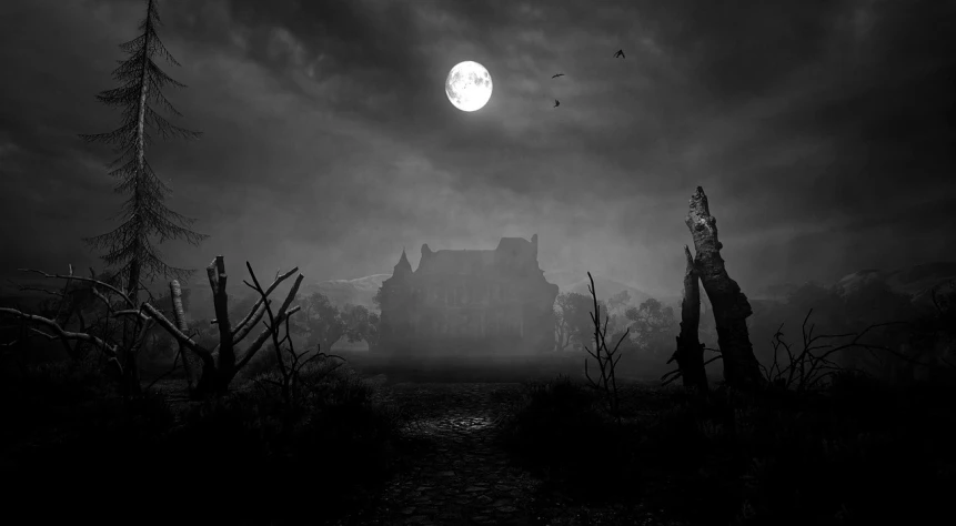 a black and white photo of a creepy castle, by Maxwell Bates, digital art, hd 4k game screenshot, moon rising, silent hill landscape, farming