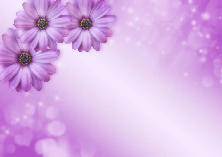 a bunch of purple flowers sitting on top of a purple background, a pastel, photorealistic -20, bokeh color background, with gradients, daisy