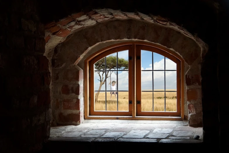 a window with a view of a giraffe in the distance, by Dietmar Damerau, pixabay contest winner, precisionism, interior of a hobbit hole, frans lanting, open plains, large glass windows