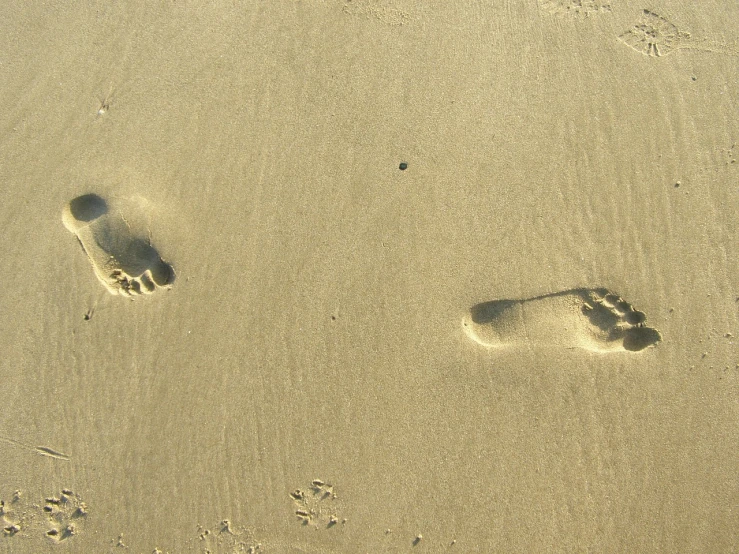 a couple of footprints that are in the sand, 3 4 5 3 1, slightly sunny, zido, tan