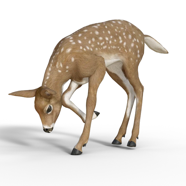 a close up of a deer on a black background, a digital rendering, highly detailed toy, -h 1024, immature, spotted