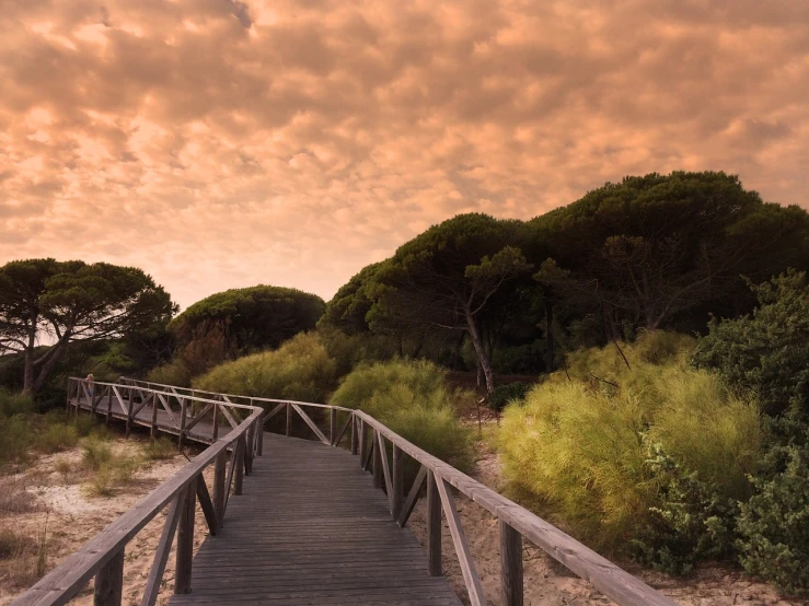 a wooden walkway leading to a sandy beach, a picture, by Xavier Blum Pinto, romanticism, orange clouds, pine forest, marbella landscape, wallpaper - 1 0 2 4