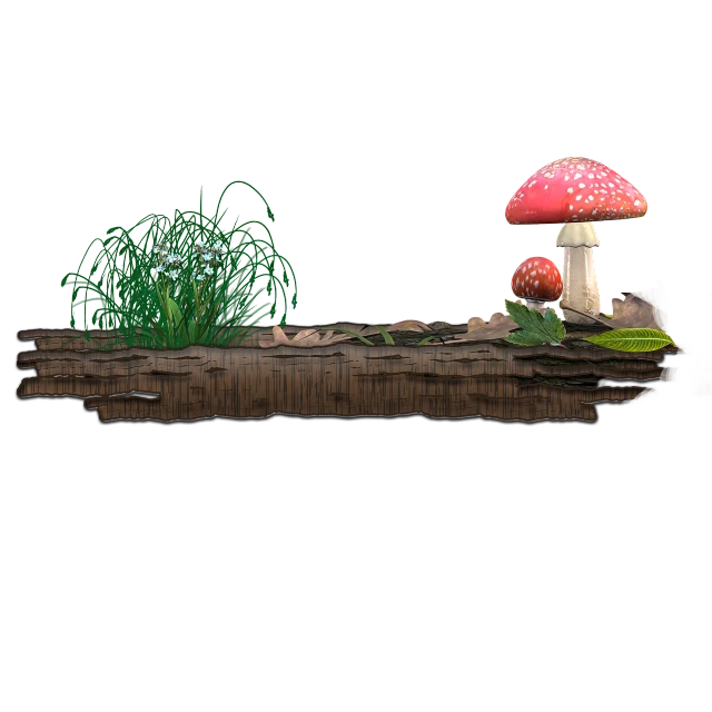 a group of mushrooms sitting on top of a wooden table, polycount, ecological art, graphic of enchanted terrarium, backside of scenography elements, romantic simple path traced, high res render