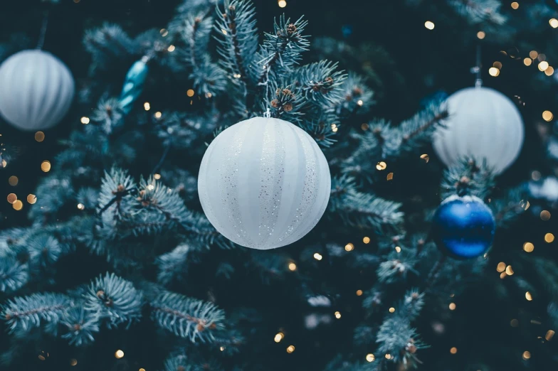 a close up of a christmas tree with ornaments, a picture, by Kazimierz Wojniakowski, shutterstock, blue and white tones, pearlescent white, cinematic detail, globes