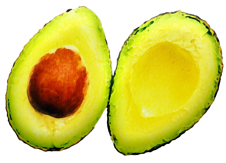 an avocado cut in half on a black background, an illustration of, by Andrew Domachowski, pexels, hyperrealism, diptych, yellowed, istockphoto, a brightly colored