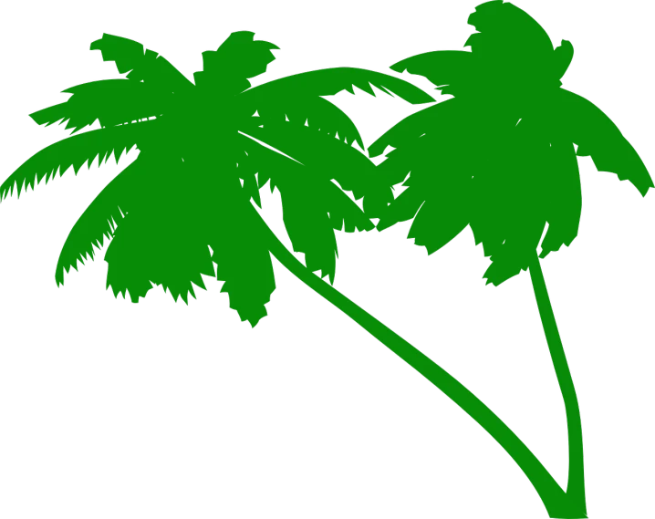 two palm trees on a black background, inspired by Masamitsu Ōta, deviantart, it\'s name is greeny, drawn in microsoft paint, alternate album cover, loosely cropped