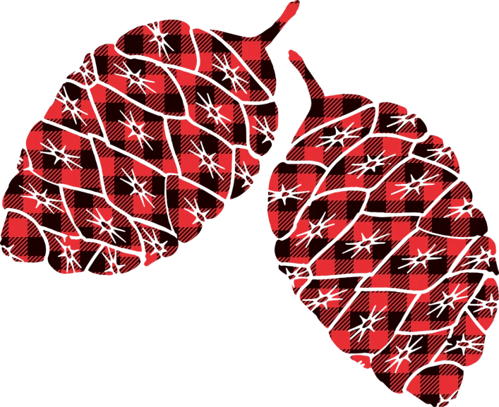 two hop hop hop hop hop hop hop hop hop hop hop hop hop hop hop hop hop hop hop hop hop hop hop hop hop hop hop, a digital rendering, inspired by Patrick Caulfield, pixabay, op art, wearing a red lumberjack shirt, heart kidney lungs, pinecone, black and red color scheme